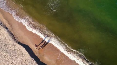 Stock Video Family Enjoying The Seashore Aerial Shot Live Wallpaper For PC - Free Live Wallpaper