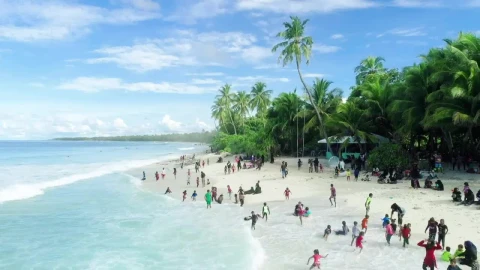 Stock Video Families On The Beach Live Wallpaper For PC - Free Live Wallpaper