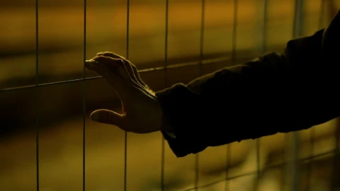 Stock Video Hand On A Wire Fence By Night Live Wallpaper For PC - Free Live Wallpaper