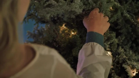 Stock Video Hand Of A Girl Touching A Snowy Christmas Tree Live Wallpaper For PC - Free Live Wallpaper