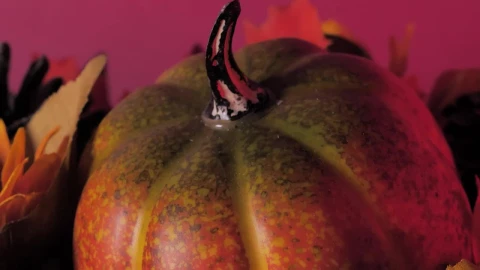Stock Video Halloween Pumpkin Treats Live Wallpaper For PC - Free Live Wallpaper