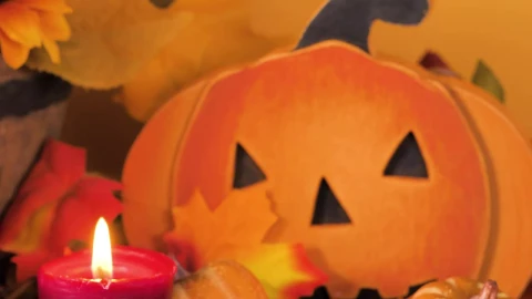 Stock Video Halloween Pumpkin And A Red Candle Live Wallpaper For PC - Free Live Wallpaper