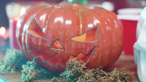 Stock Video Halloween Decorations At A Party Live Wallpaper For PC - Free Live Wallpaper