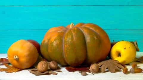 Stock Video Halloween Decoration With Dead Nature Live Wallpaper For PC - Free Live Wallpaper