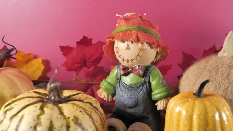 Stock Video Halloween Autumn Ornaments Live Wallpaper For PC - Free Live Wallpaper