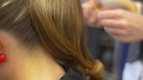 Stock Video Hair Stylist Working In A Hairstyle Live Wallpaper For PC - Free Live Wallpaper