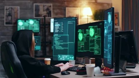 Stock Video Hackers Working Together In An Apartment Live Wallpaper For PC - Free Live Wallpaper