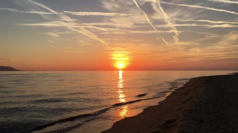 Stock Video Guy Running At The Beach During Sunset Live Wallpaper For PC - Free Live Wallpaper