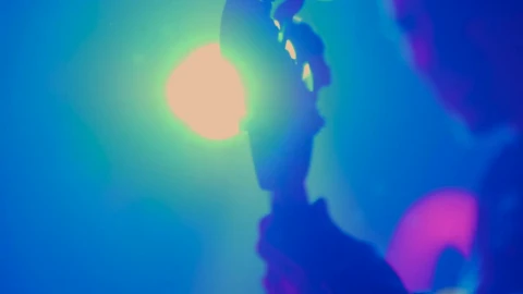 Stock Video Guitarist Playing On Stage Live Wallpaper For PC - Free Live Wallpaper