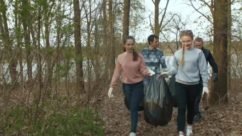 Stock Video Group Of Young Volunteers Recycling Live Wallpaper For PC - Free Live Wallpaper