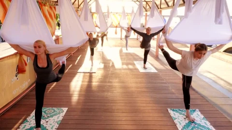 Stock Video Group Of Women Practicing Yoga In The Morning Live Wallpaper For PC - Free Live Wallpaper