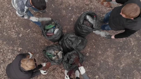 Stock Video Group Of Volunteers Recycling And Cleaning Garbage Live Wallpaper For PC - Free Live Wallpaper