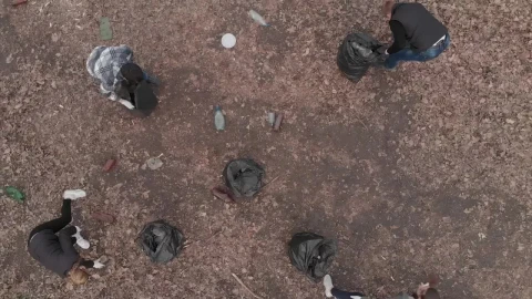 Stock Video Group Of Volunteers Lifting And Recycling Bottles Live Wallpaper For PC - Free Live Wallpaper