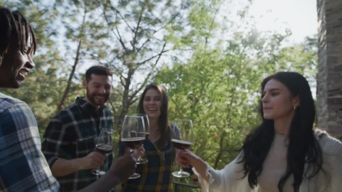 Stock Video Group Of Friends Making A Toast With Wine Live Wallpaper For PC - Free Live Wallpaper