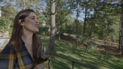 Stock Video Group Of Friends Drinking Wine In Nature Live Wallpaper For PC - Free Live Wallpaper
