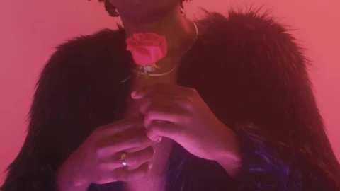Stock Video Gay Man With A Flower On A Pink Background Live Wallpaper For PC - Free Live Wallpaper