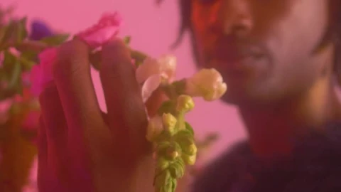 Stock Video Gay Man Appreciating Flowers In A Feminine Environment Live Wallpaper For PC - Free Live Wallpaper