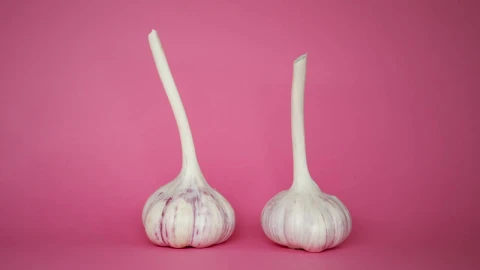 Stock Video Garlic Spinning On A Pink Background Live Wallpaper For PC - Free Live Wallpaper