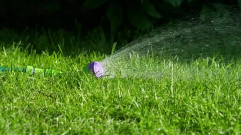 Stock Video Garden Spraywer On The Grass Live Wallpaper For PC - Free Live Wallpaper