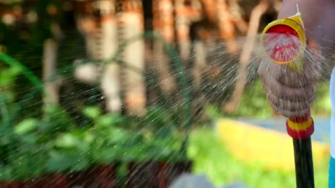 Stock Video Garden Sprayer Live Wallpaper For PC - Free Live Wallpaper