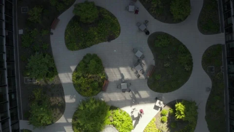 Stock Video Garden Inside A Building Seen From Above Live Wallpaper For PC - Free Live Wallpaper