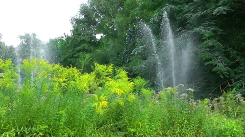 Stock Video Garden Being Watered Live Wallpaper For PC - Free Live Wallpaper