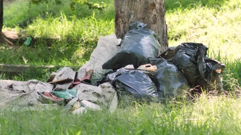Stock Video Garbage Piled Up At The Base Of A Tree In Live Wallpaper For PC - Free Live Wallpaper