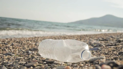 Stock Video Garbage On The Seashore Live Wallpaper For PC - Free Live Wallpaper