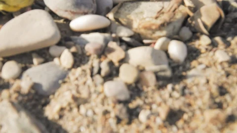 Stock Video Garbage On The Beach Live Wallpaper For PC - Free Live Wallpaper