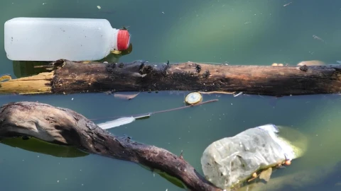 Stock Video Garbage In A River Very Close View Live Wallpaper For PC - Free Live Wallpaper