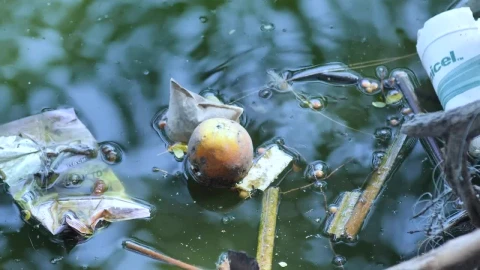 Stock Video Garbage Floating In Dirty Water Live Wallpaper For PC - Free Live Wallpaper