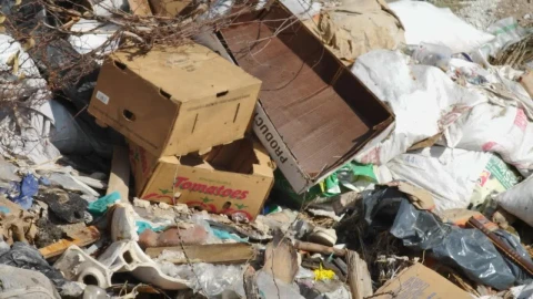 Stock Video Garbage Can In The Sun Live Wallpaper For PC - Free Live Wallpaper