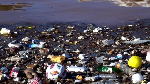 Stock Video Garbage Floating In A Polluted Lake Live Wallpaper For PC - Free Live Wallpaper