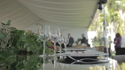 Stock Video Gala Party Seen From Above A Table Live Wallpaper For PC - Free Live Wallpaper