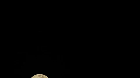 Stock Video Full Moon Rising In The Dark Sky Live Wallpaper For PC - Free Live Wallpaper