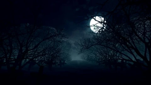 Stock Video Full Moon On Halloween Night Loop Video Live Wallpaper For PC - Free Live Wallpaper