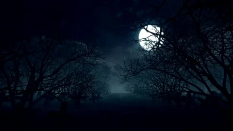 Stock Video Full Moon In The Forest On Halloween Live Wallpaper For PC - Free Live Wallpaper