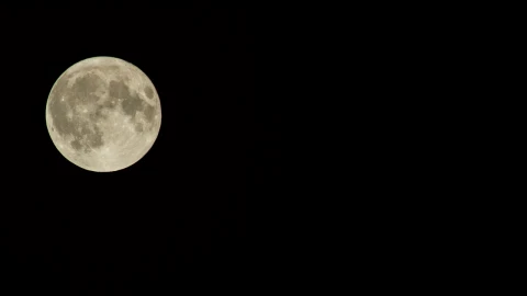 Stock Video Full Moon Heading Across The Night Sky Live Wallpaper For PC - Free Live Wallpaper