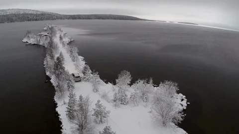 Stock Video Frozen Trees And An Ice Cold Ocean Live Wallpaper For PC - Free Live Wallpaper