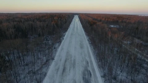 Stock Video Frozen Roads Through An Empty Woodland Live Wallpaper For PC - Free Live Wallpaper