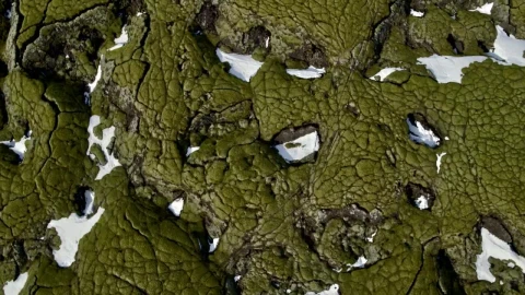 Stock Video Frozen Lava Fields Live Wallpaper For PC - Free Live Wallpaper