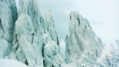 Stock Video Frozen Forest Deep In Snow Live Wallpaper For PC - Free Live Wallpaper