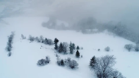Stock Video Frozen Foggy Landscape High View Live Wallpaper For PC - Free Live Wallpaper