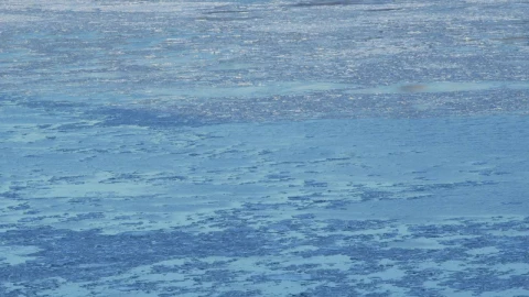 Stock Video Frozen Chunks On The Hudson Live Wallpaper For PC - Free Live Wallpaper