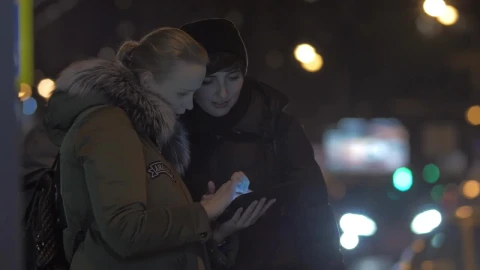Stock Video Friends Looking For Directions Live Wallpaper For PC - Free Live Wallpaper