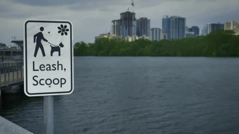 Stock Video Lake On The Outskirts Of A Big City Animated Wallpaper - Free Live Wallpaper