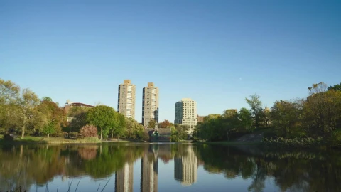 Stock Video Lake In Central Park Animated Wallpaper - Free Live Wallpaper