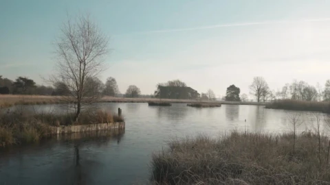 Stock Video Lake In A Winter Landscape Animated Wallpaper - Free Live Wallpaper