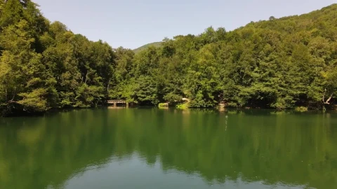 Stock Video Lake In A Wooded Park Low Aerial Shot Animated Wallpaper - Free Live Wallpaper