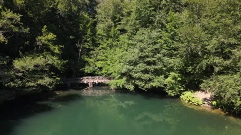 Stock Video Lake In A National Park In A Sunny Day Animated Wallpaper - Free Live Wallpaper